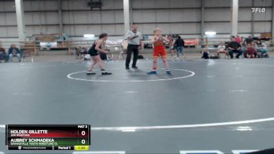 84 lbs Quarterfinal - Aubrey Schmadeka, Grangeville Youth Wrestling Cl vs Holden Gillette, 208 Spartans