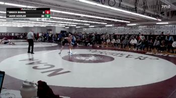 133 lbs Quarterfinal - Brock Shaha, Upper Iowa vs Jahir Aguilar, Johnson & Wales