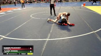 100 lbs Quarterfinal - Tucker Johnson, LAMR vs Gunner Polikowsky, Chatfield