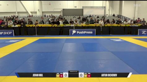 Artur Bichenov vs Joran Mul 2025 World IBJJF Jiu-Jitsu No-Gi Championship