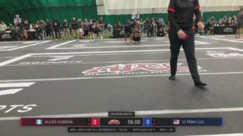Alexis Herrera vs Vi-Trinh Luu 2026 ADCC New Jersey Open