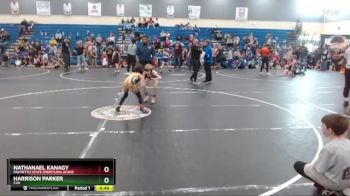 58 lbs Round 2 - Nathanael Kanagy, Palmetto State Wrestling Acade vs Harrison Parker, C2X