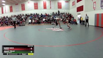 113 lbs Semifinal - Quinn Gaca, Canfield vs Renzo Tello, Canton South