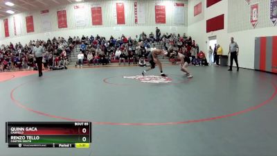 113 lbs Semifinal - Quinn Gaca, Canfield vs Renzo Tello, Canton South