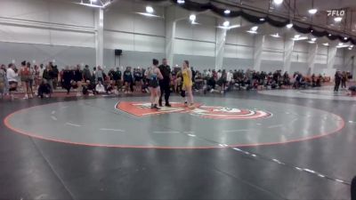 138 lbs Champ. Round 2 - Alexus Shaneyfelt, Siena Heights vs Ciara Riner, Unattached
