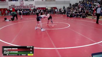139 lbs Semifinal - Dylan Louwagie, Marshall vs Grayson Gibson, MAHACA