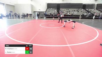 61 lbs Quarterfinal - Nelson Villafane, Mat Assassins vs Logan Raske, Minion Green