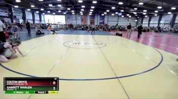 68 lbs Rd# 8- 12:30pm Saturday Final Pool - Garrett Whalen, M2TCNJ vs Colton Bryce, Dynasty Ruthless