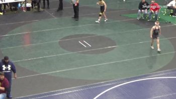102 lbs Quarterfinal - Cole Lamberton, Wallenpaupack vs Chris Dennis, Central Bucks West