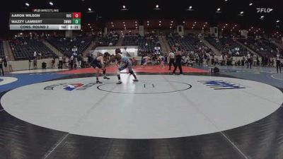 133 lbs Cons. Round 2 - Mazzy Lambert, Southwestern Michigan vs Aaron Wilson, Rochester University