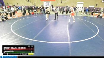 170 lbs Quarterfinal - Broedy Collins Hendricks, IA vs Niko DeZiel, WI