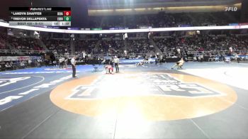 II-131 lbs Quarterfinal - Trevor Dellapenta, Eden vs Landyn Shaffer, Deposit-Hancock