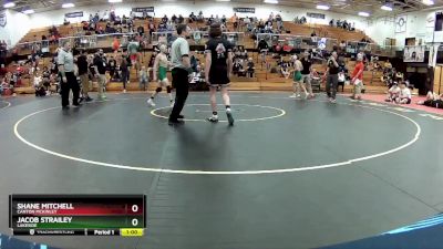 132 lbs Cons. Semi - Shane Mitchell, Canton McKinley vs Jacob Strailey, Lakeside