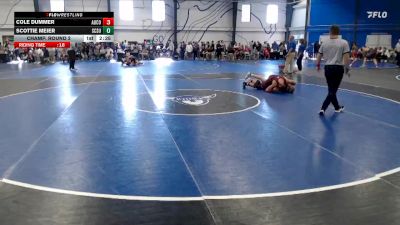 Silver 157 lbs Champ. Round 2 - Cole Dummer, Augsburg College vs Scottie Meier, St. Cloud State