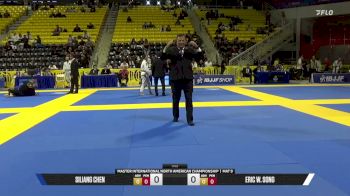 Eric W. Song vs Siliang Chen 2026 Master International IBJJF Jiu-Jitsu North American Championship