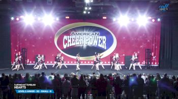 Flipping Out Tumbling - Hearts [2025 L2 Junior - D2 - Small - B Day 1] 2025 Cheer Power Grand Nationals