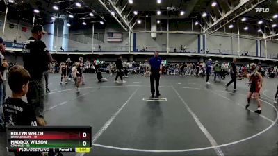 80 lbs Round 7 (10 Team) - Koltyn Welch, Brawler Elite vs Maddox Wilson, CTWHALE