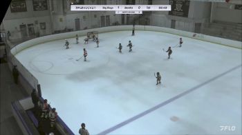 Replay: Home - 2023 Skyland U10 vs Bandits 10U White | Dec 3 @ 7 AM