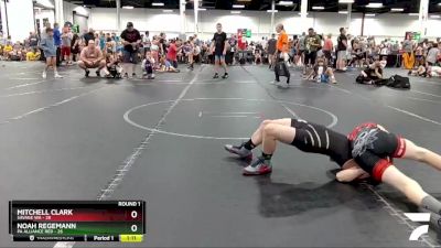 96 lbs Round 1 (4 Team) - Mitchell Clark, Savage WA vs Noah Regemann, PA Alliance Red