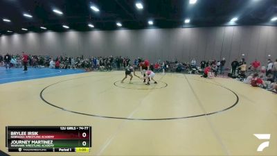 74-77 lbs Round 3 - Journey Martinez, Warhawk Wrestling Academy vs Brylee Irsik, Nebraska Wrestling Academy