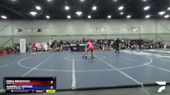 164 lbs Quarters & 1st Wb (16 Team) - Erika Brokovich, Iowa vs Gabriella Watson, Arkansas Silver