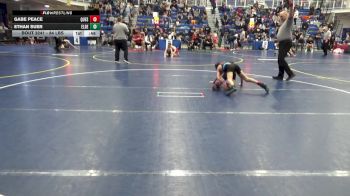 84 lbs Quarterfinal - Gabe Peace, Quest W.C. vs Ethan Suer, Elder