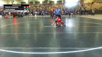 45 lbs Quarterfinal - Caleb Griggs, Wildcats Wrestling vs Brexen Anderson, Seahawks Wrestling Club