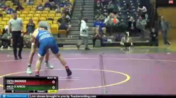 141 lbs Quarterfinal - Nico D`Amico, Queens vs Zeth Brower, Lander