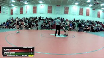 155 lbs Champ. Round 1 - Sophie Habermehl, Vermillion vs Cailyn Brink, West Branch