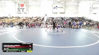 118 lbs Champ. Round 1 - Ali Ali, Buffalo Nomads Wrestling vs Trevor DellaPenta, Eden Wrestling Club