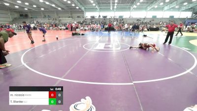 75 lbs Quarterfinal - Michael Nicosia, Mat Assassins Black vs Thomas Blanke, Illinois Menace