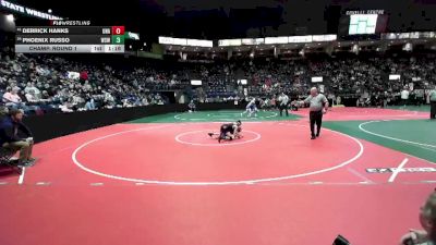 84 lbs Champ. Round 1 - Derrick Hanks, Unattached vs Phoenix Russo, WSW1