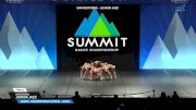 DanceWorks - Junior Jazz [2025 Junior - Contemporary/Lyrical - Small Finals] 2025 The Dance Summit