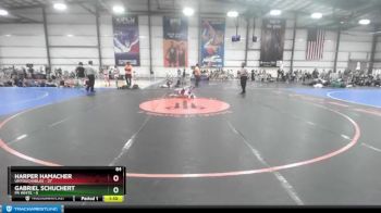 84 lbs Rd# 10- 4:00pm Saturday Final Pool - Harper Hamacher, Untouchables vs Gabriel Schuchert, PA White