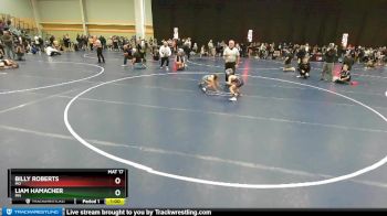 56 lbs Quarterfinal - Liam Hamacher, MN vs Billy Roberts, MO