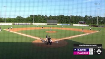 Replay: Home - 2024 Blowfish vs Flamingos - DH | Jun 17 @ 6 PM