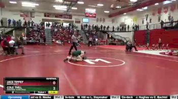170 lbs Semifinal - Cole Thill, Dubuque Hempstead vs Jace Tippet, North Scott