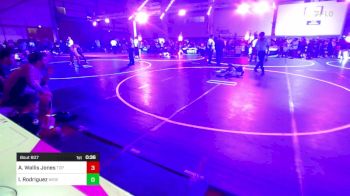 46 lbs Round Of 16 - Ameer Wallis Jones, Top Rank Hammers vs Iason Rodriguez, Widefield WC