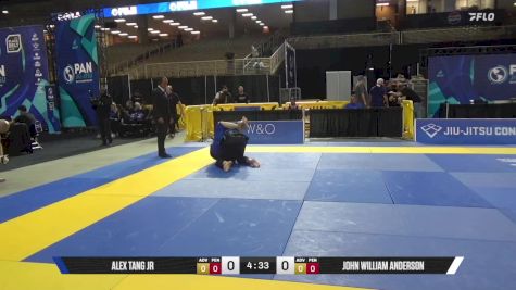 John William Anderson vs Alex Tang Jr 2025 Pan Jiu Jitsu IBJJF Championship