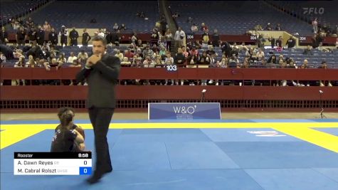 Ashleigh Dawn Reyes vs Mariana Cabral Rolszt 2024 Pan IBJJF Jiu-Jitsu No-Gi Championship