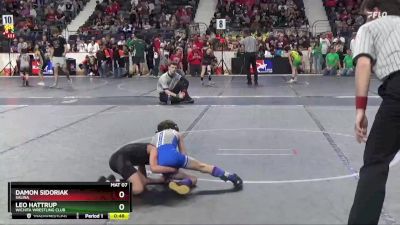 46 lbs Quarterfinal - Damon Sidoriak, Salina vs Leo Hattrup, Wichita Wrestling Club