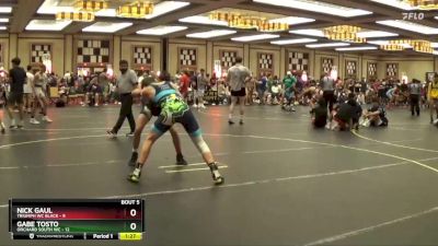 145 lbs Round 3 (4 Team) - Gabe Tosto, Orchard South WC vs Nick Gaul, Triumph WC Black