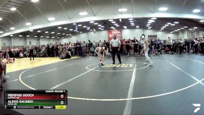 92 lbs Champ. Round 1 - Alexis Galindo, Nova WC vs Memphis Gooch, Hornet WC