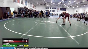 133 lbs Champ. Round 2 - Ty Bisek, Concordia MN vs Sean Conway, University Of Chicago