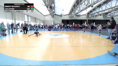 61 lbs Rr Rnd 6 - Emmett McCarthy, DoughBoys ES vs Luca Ettari, Shore Thing Sharks