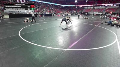 165 lbs Champ. Rd Of 16 - Carson Bremmer, Verona vs Cameron Berry-Stricklen, Nicolet