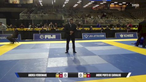 Andre Porto De Carvalho vs Andrea Verdemare 2025 Pan Jiu Jitsu IBJJF Championship