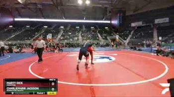 155 lbs Cons. Round 3 - CharlieMarie Jackson, Burns/Pine Bluffs vs Marty Dick, Evanston