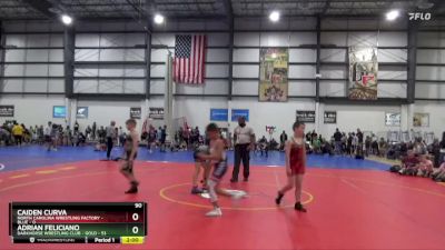 90 lbs Round 2 (4 Team) - Adrian Feliciano, DARKHORSE WRESTLING CLUB - GOLD vs CAIDEN CURVA, NORTH CAROLINA WRESTLING FACTORY - BLUE