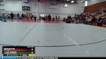 197 lbs Cons. Semi - Seth Butler, Wartburg vs Tyler Hannah, Wisconsin-Platteville